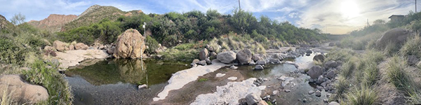 Queen Creek Restoration